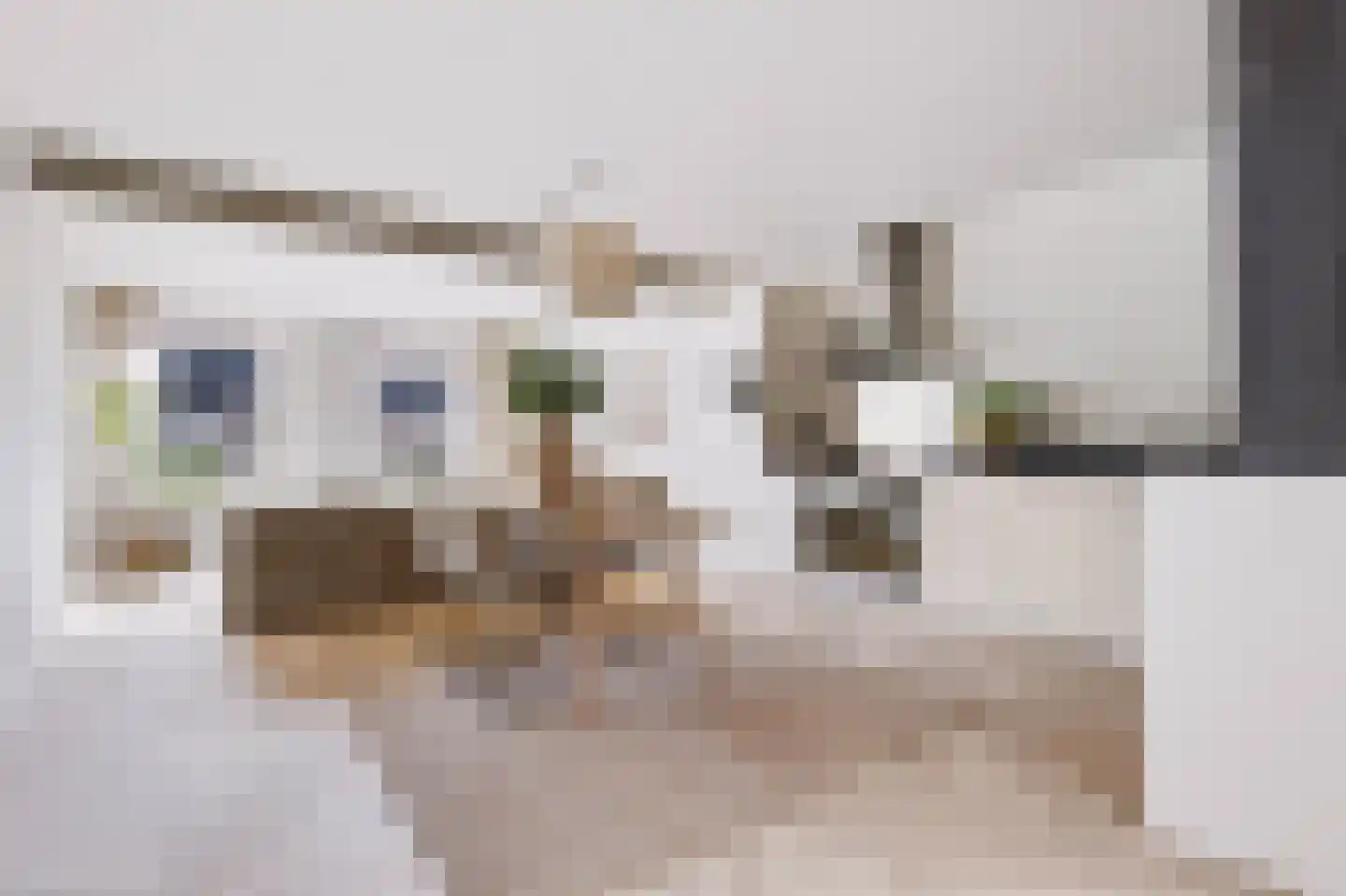 Zandberg 4 e Cuijk thumbnail 14