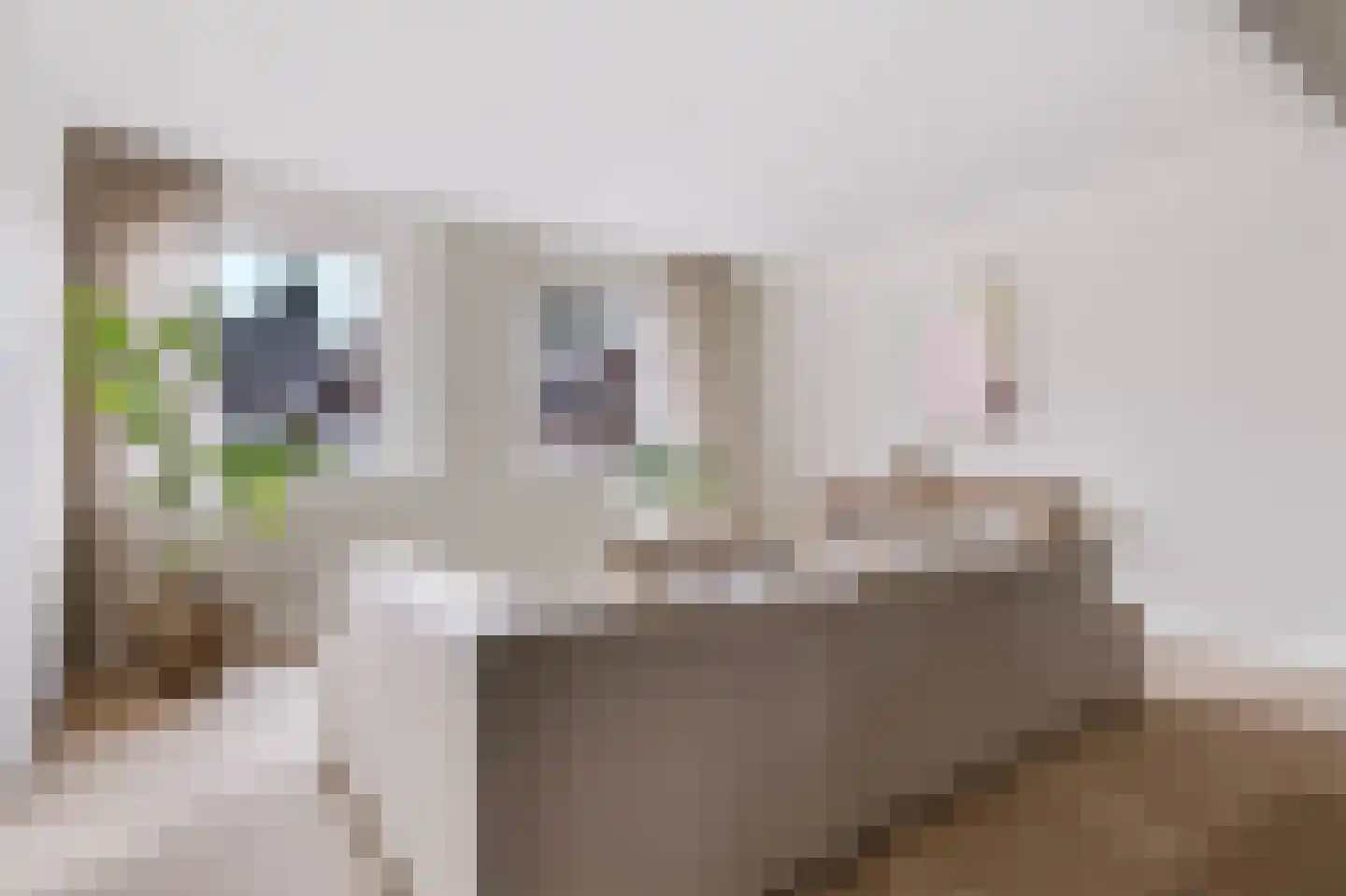 Zandberg 4 e Cuijk thumbnail 15