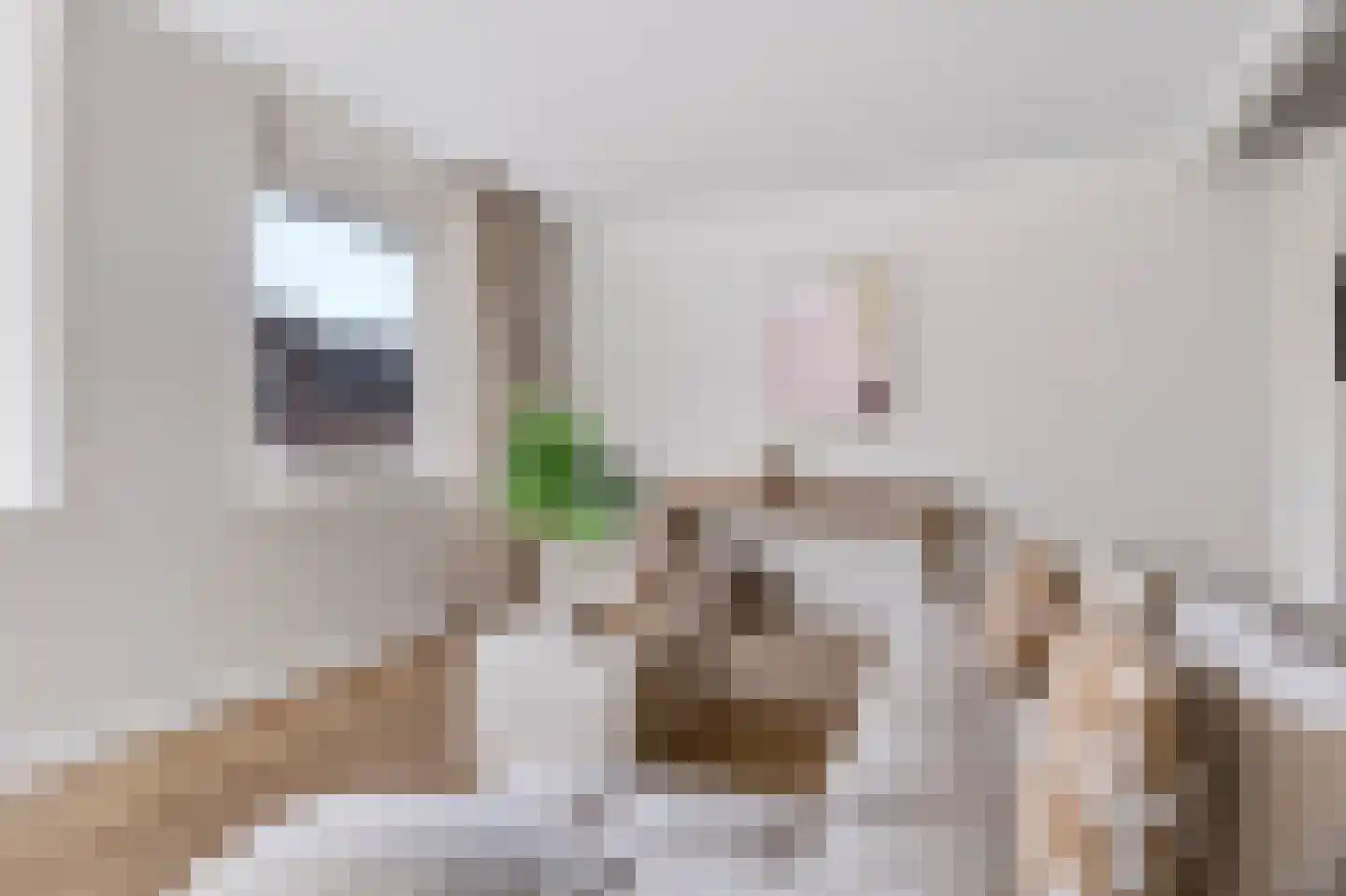 Zandberg 4 e Cuijk thumbnail 16