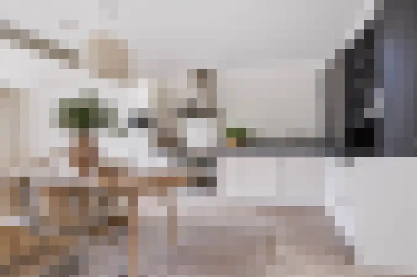 Zandberg 4 e Cuijk thumbnail 18