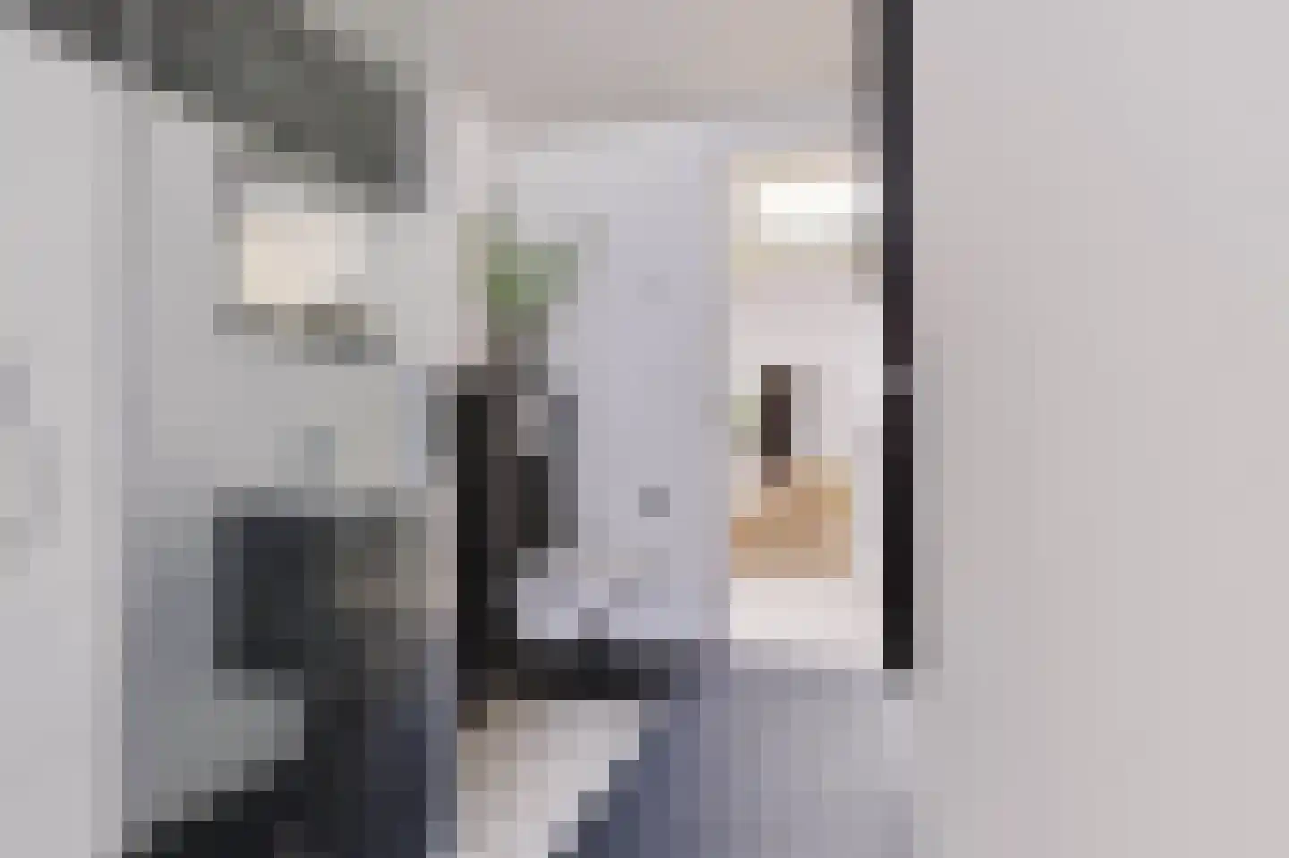 Zandberg 4 e Cuijk thumbnail 22