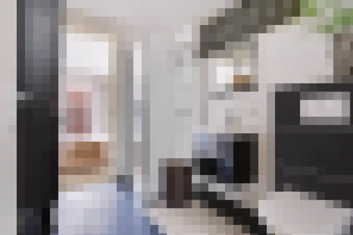 Zandberg 4 e Cuijk thumbnail 23