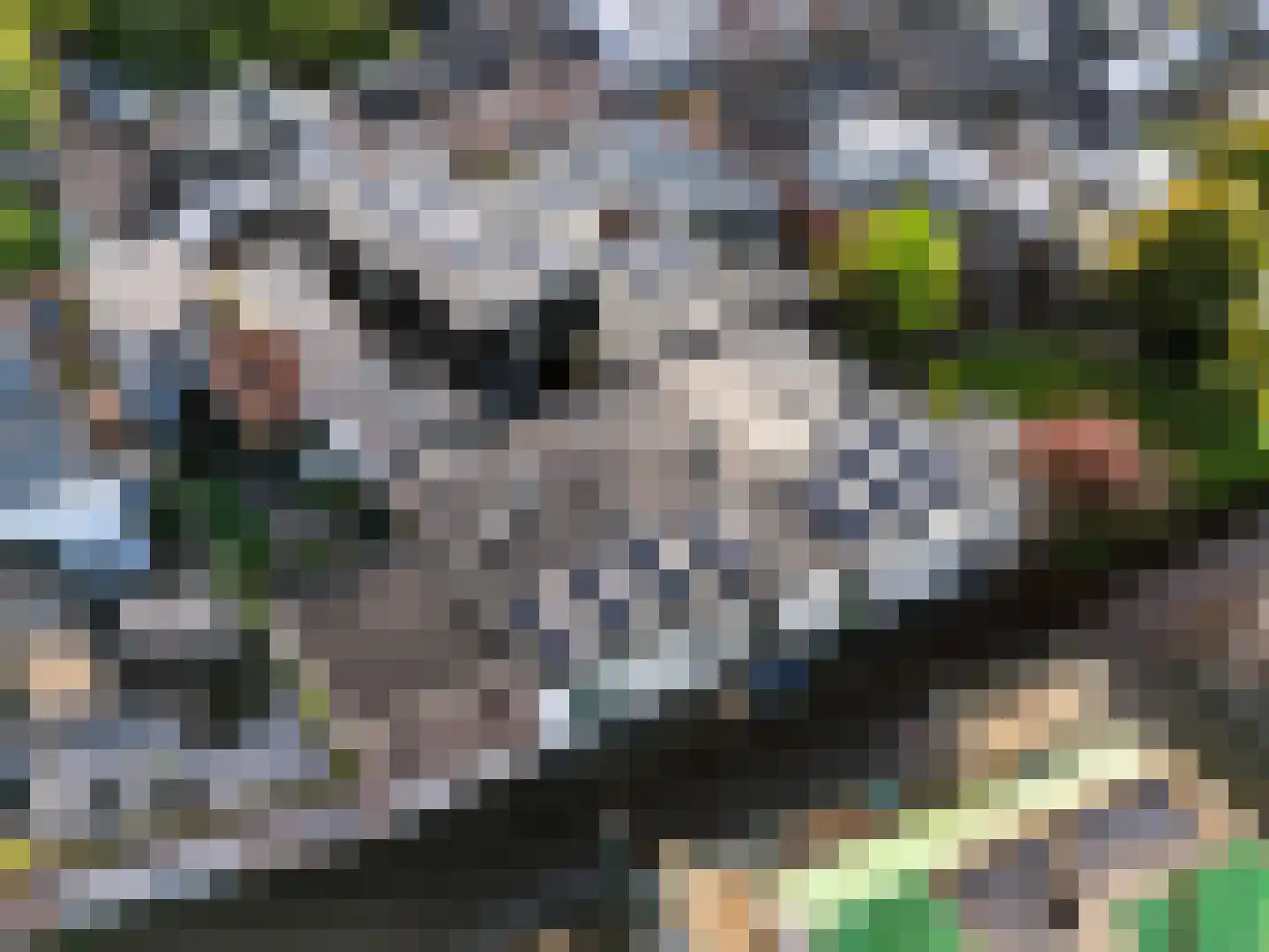 Zandberg 4 e Cuijk thumbnail 31