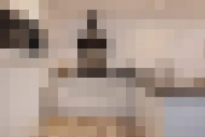 Zandberg 4 Zoetermeer thumbnail 13
