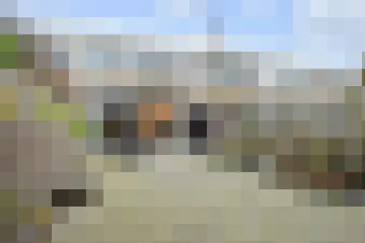 Zandberg 4 Zoetermeer thumbnail 22