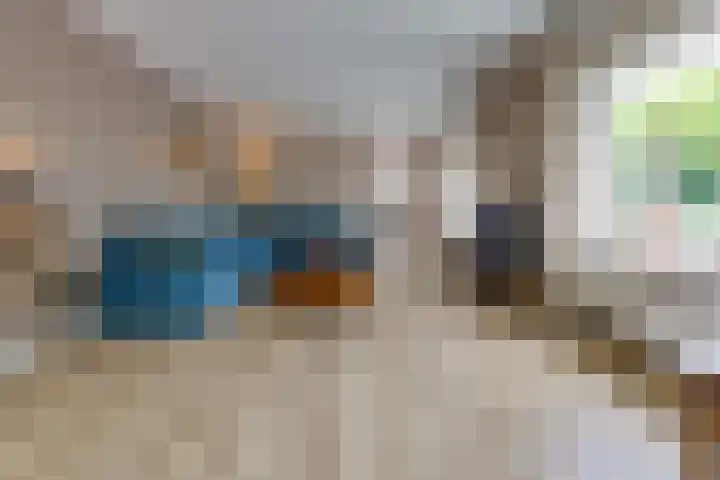 Zandberg 58 Ter Apelkanaal thumbnail 8