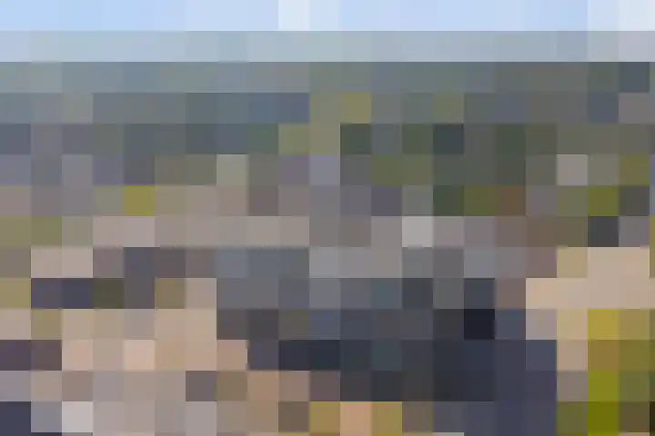 Zandberg 58 Zevenbergen thumbnail 34