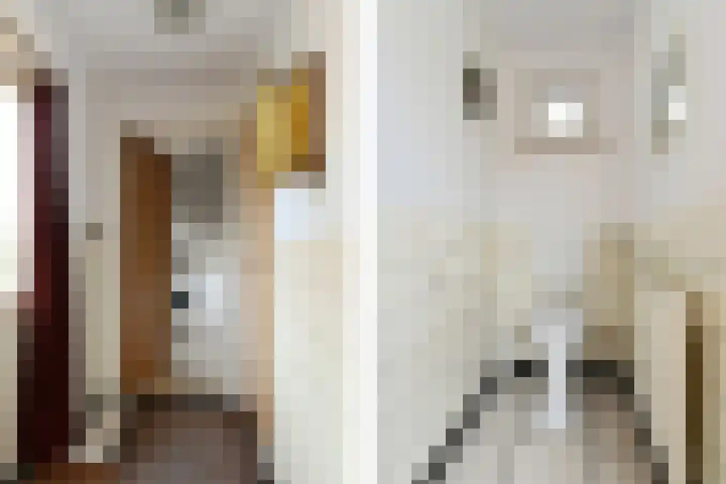 Zandberg 6 Maasbree thumbnail 12