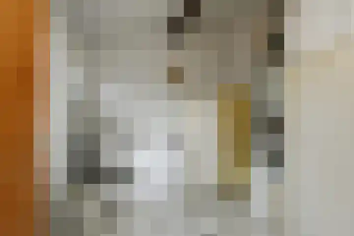 Zandberg 6 Maasbree thumbnail 13