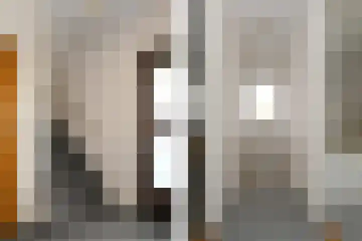 Zandberg 6 Maasbree thumbnail 14