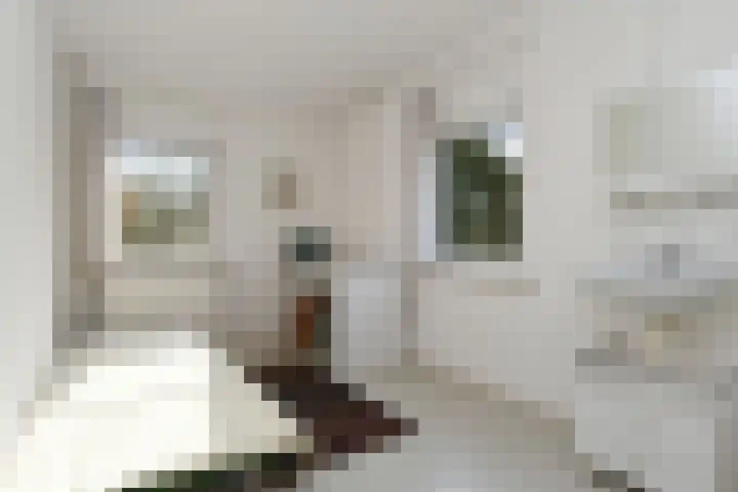 Zandberg 6 Maasbree thumbnail 17