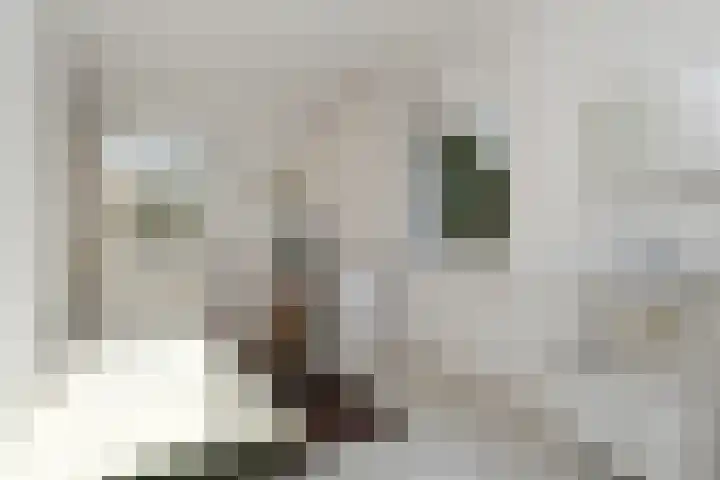 Zandberg 6 Maasbree thumbnail 17