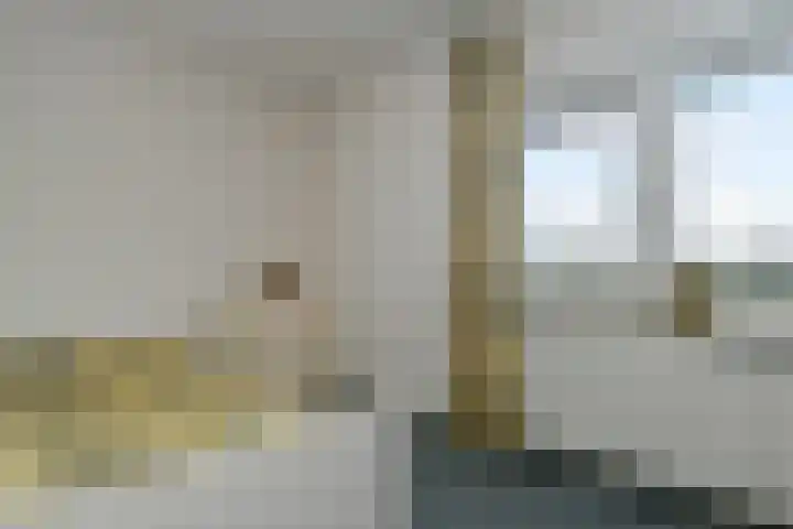 Zandberg 6 Maasbree thumbnail 18