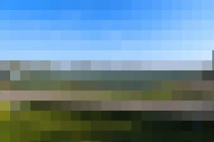 Zandberg 6 Maasbree thumbnail 19