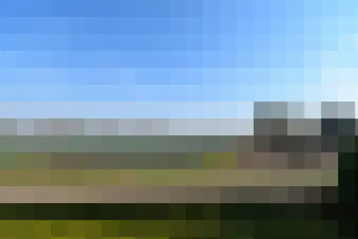 Zandberg 6 Maasbree thumbnail 20
