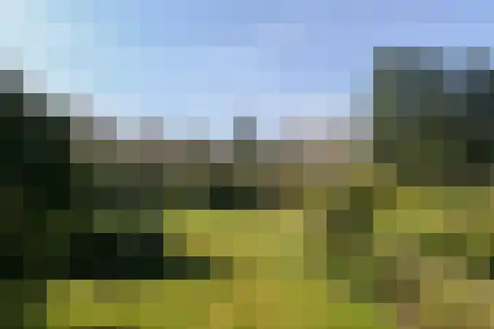Zandberg 6 Maasbree thumbnail 21