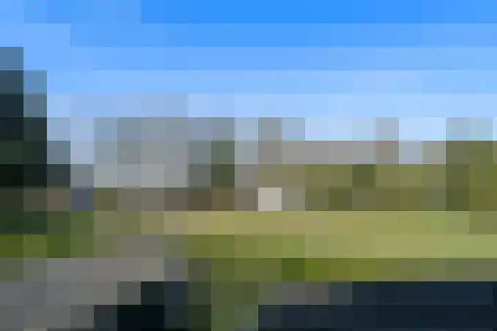 Zandberg 6 Maasbree thumbnail 22