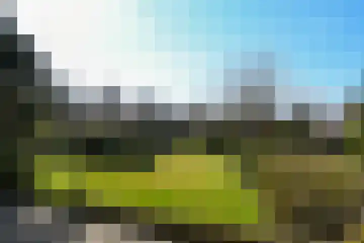 Zandberg 6 Maasbree thumbnail 23