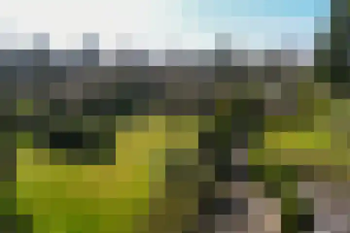 Zandberg 6 Maasbree thumbnail 24