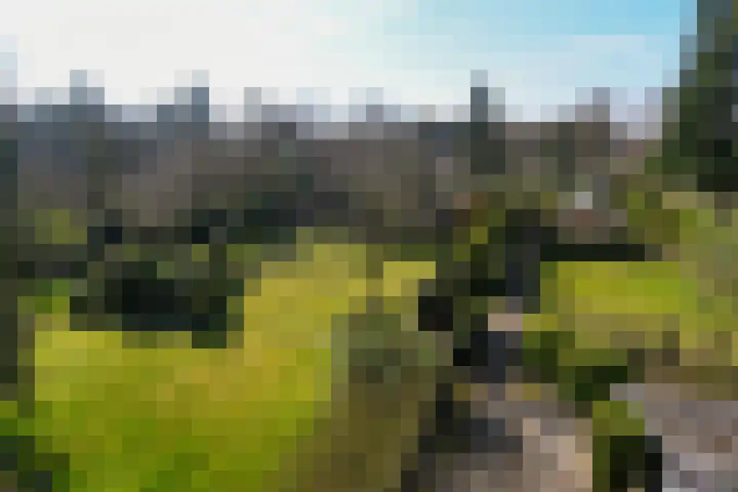Zandberg 6 Maasbree thumbnail 24