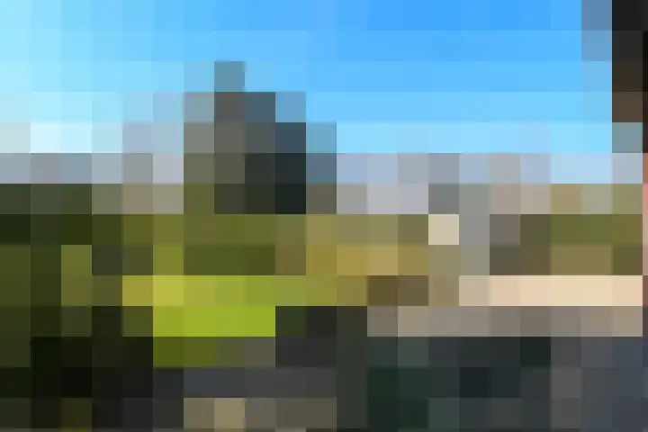 Zandberg 6 Maasbree thumbnail 25