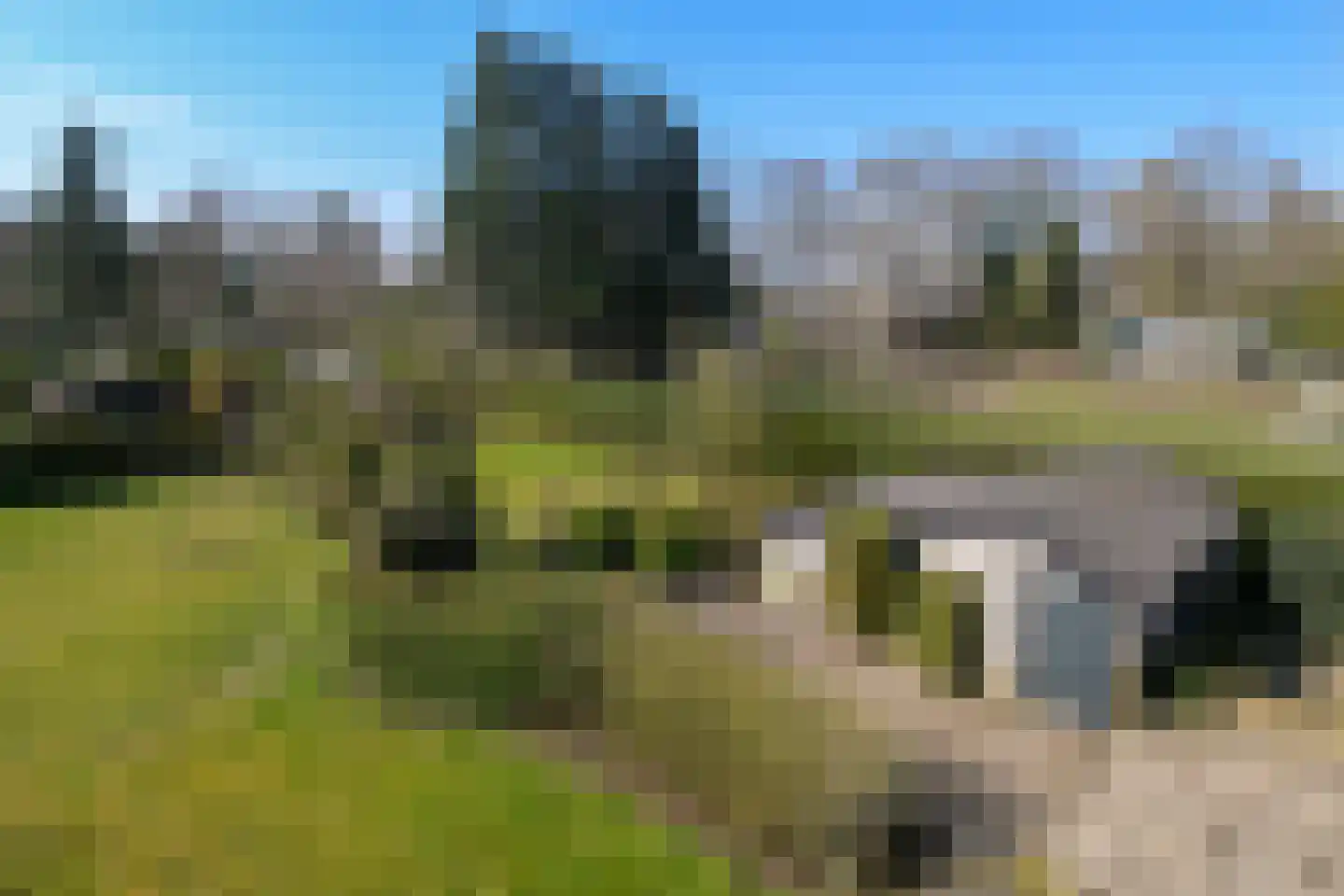 Zandberg 6 Maasbree thumbnail 26