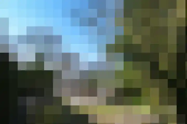 Zandberg 6 Maasbree thumbnail 28