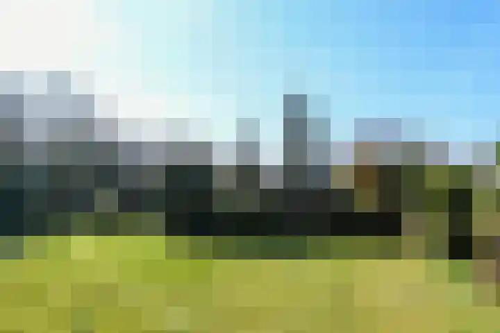 Zandberg 6 Maasbree thumbnail 29