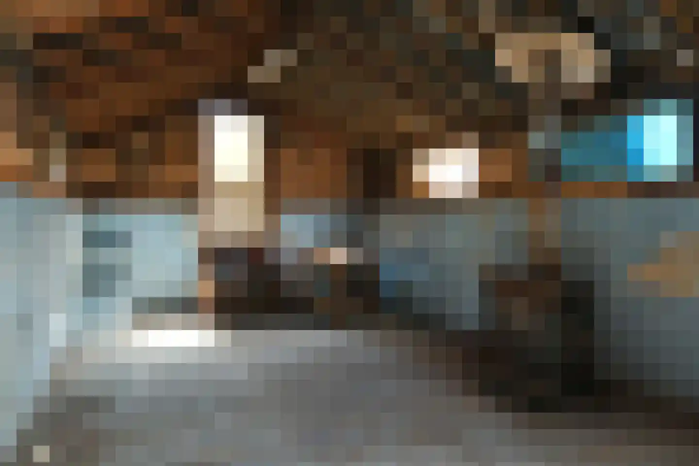 Zandberg 6 Maasbree thumbnail 30