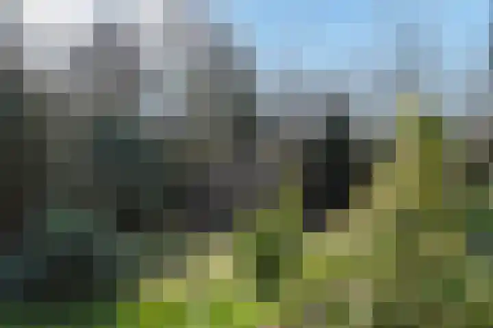Zandberg 6 Maasbree thumbnail 31