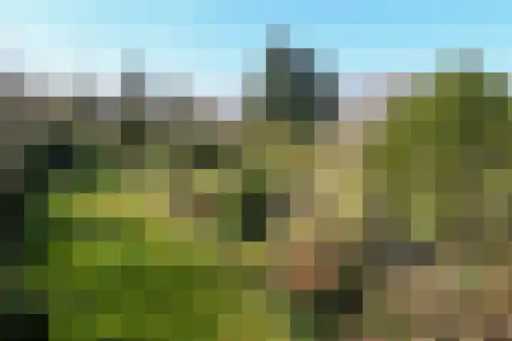Zandberg 6 Maasbree thumbnail 33