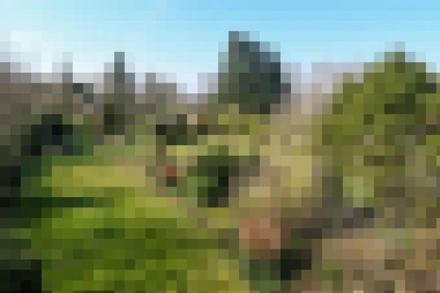Zandberg 6 Maasbree thumbnail 33