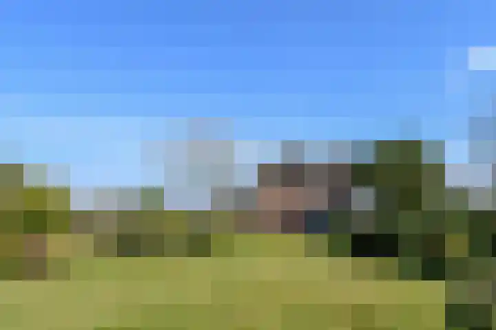 Zandberg 6 Maasbree thumbnail 34