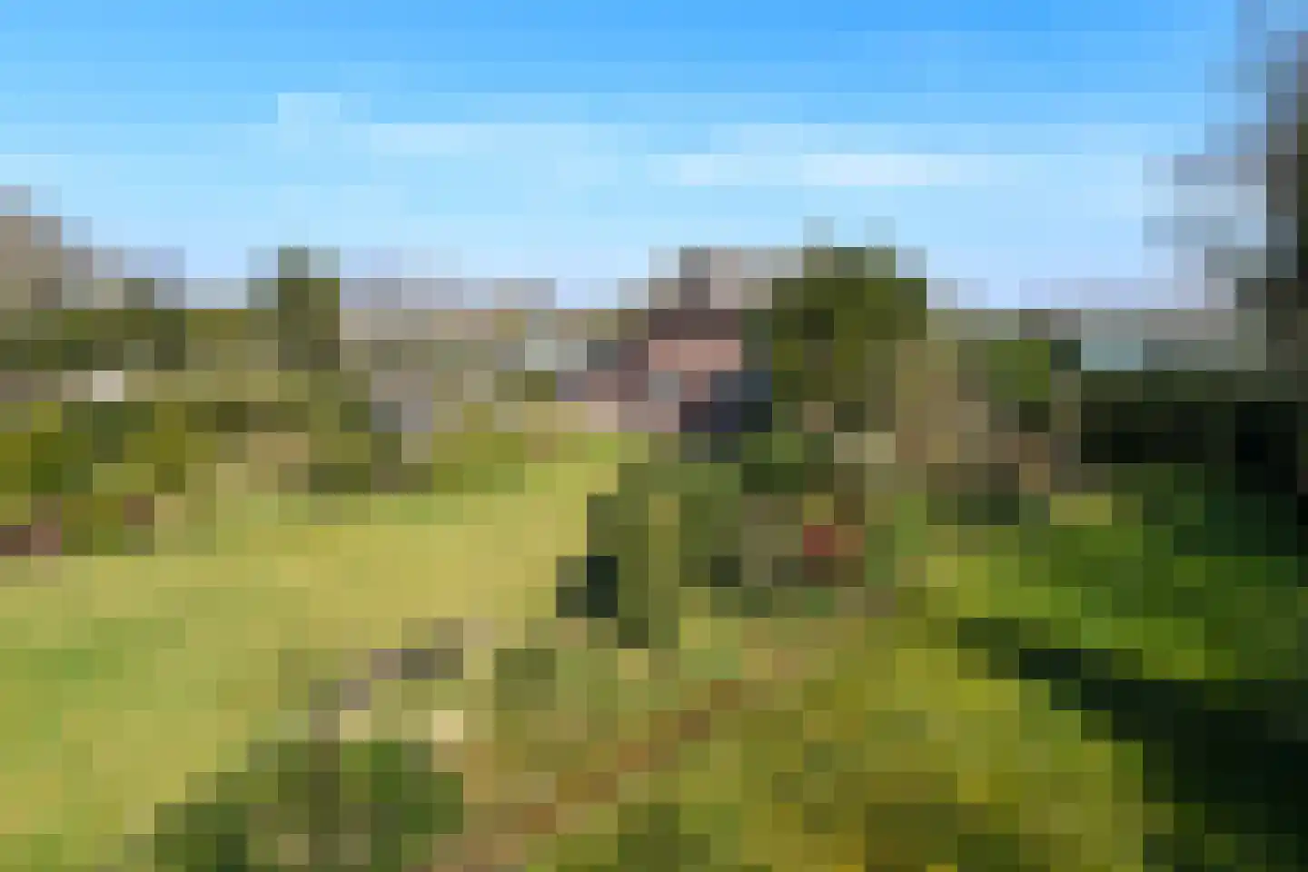 Zandberg 6 Maasbree thumbnail 35