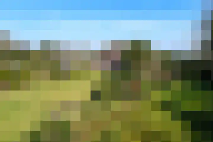 Zandberg 6 Maasbree thumbnail 35