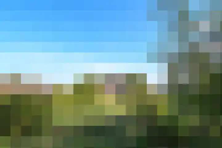 Zandberg 6 Maasbree thumbnail 36