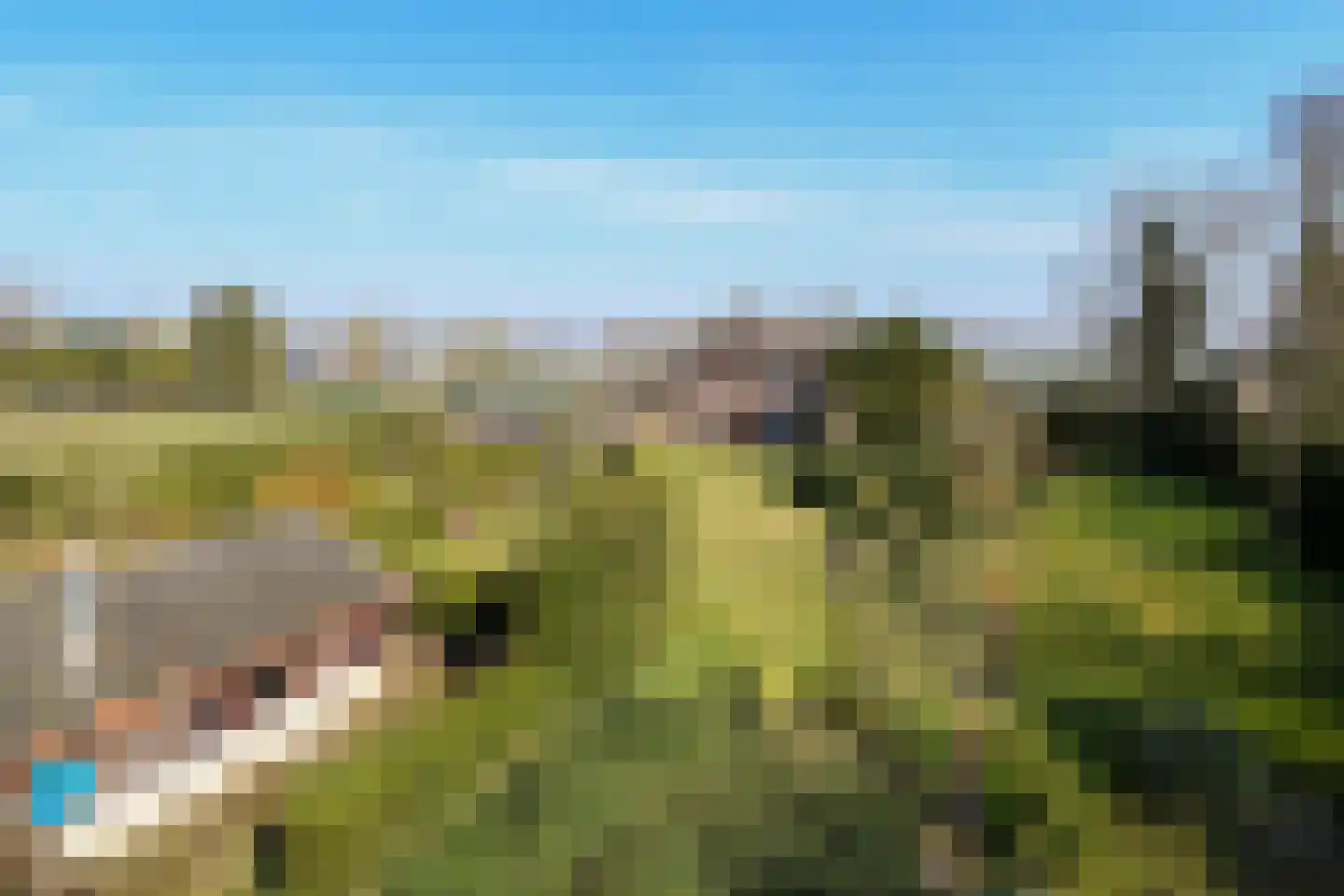 Zandberg 6 Maasbree thumbnail 37