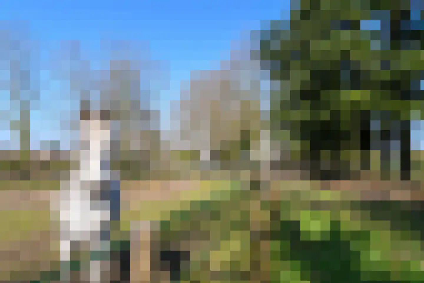 Zandberg 6 Maasbree thumbnail 38