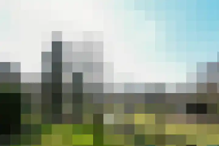 Zandberg 6 Maasbree thumbnail 40