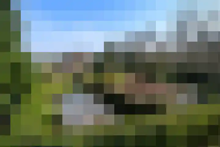 Zandberg 6 Maasbree thumbnail 41