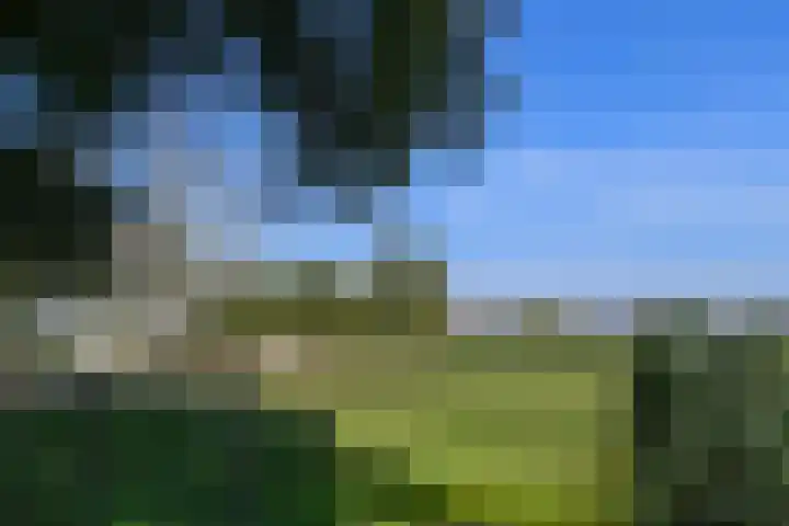 Zandberg 6 Maasbree thumbnail 42