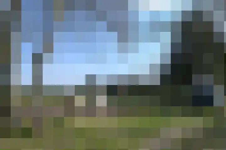 Zandberg 6 Maasbree thumbnail 44