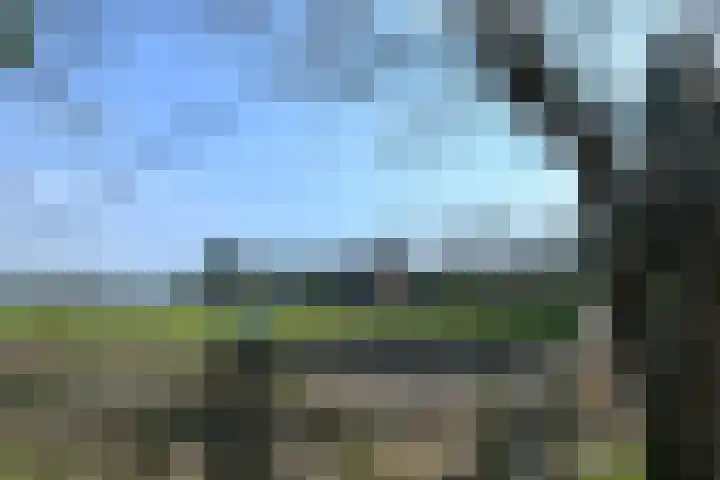 Zandberg 6 Maasbree thumbnail 45