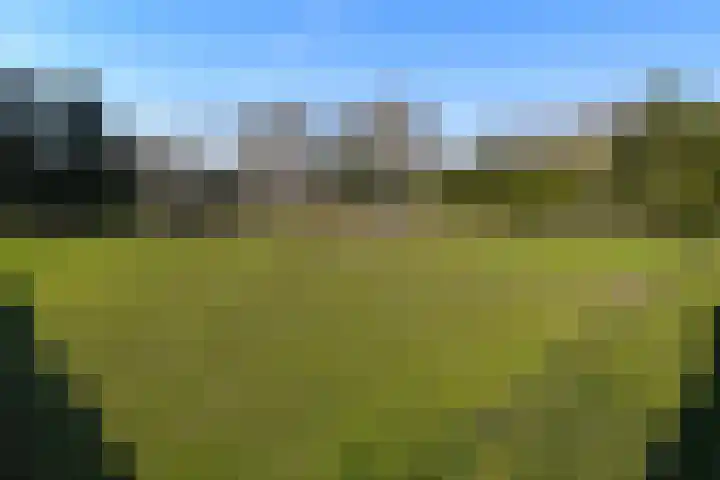 Zandberg 6 Maasbree thumbnail 47