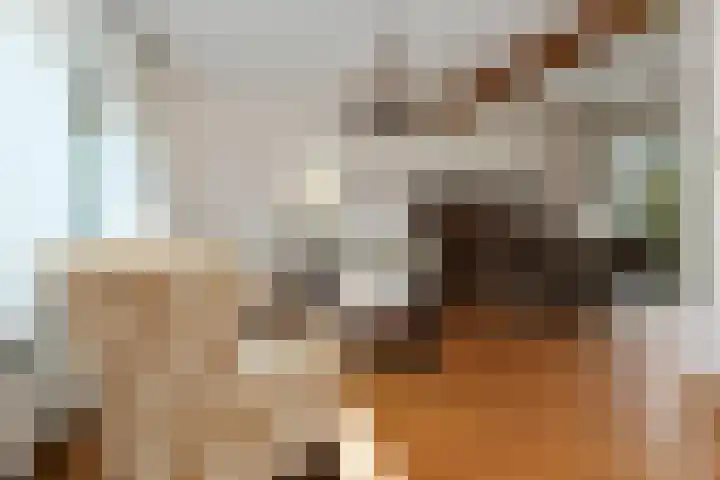 Zandberg 6 Maasbree thumbnail 6