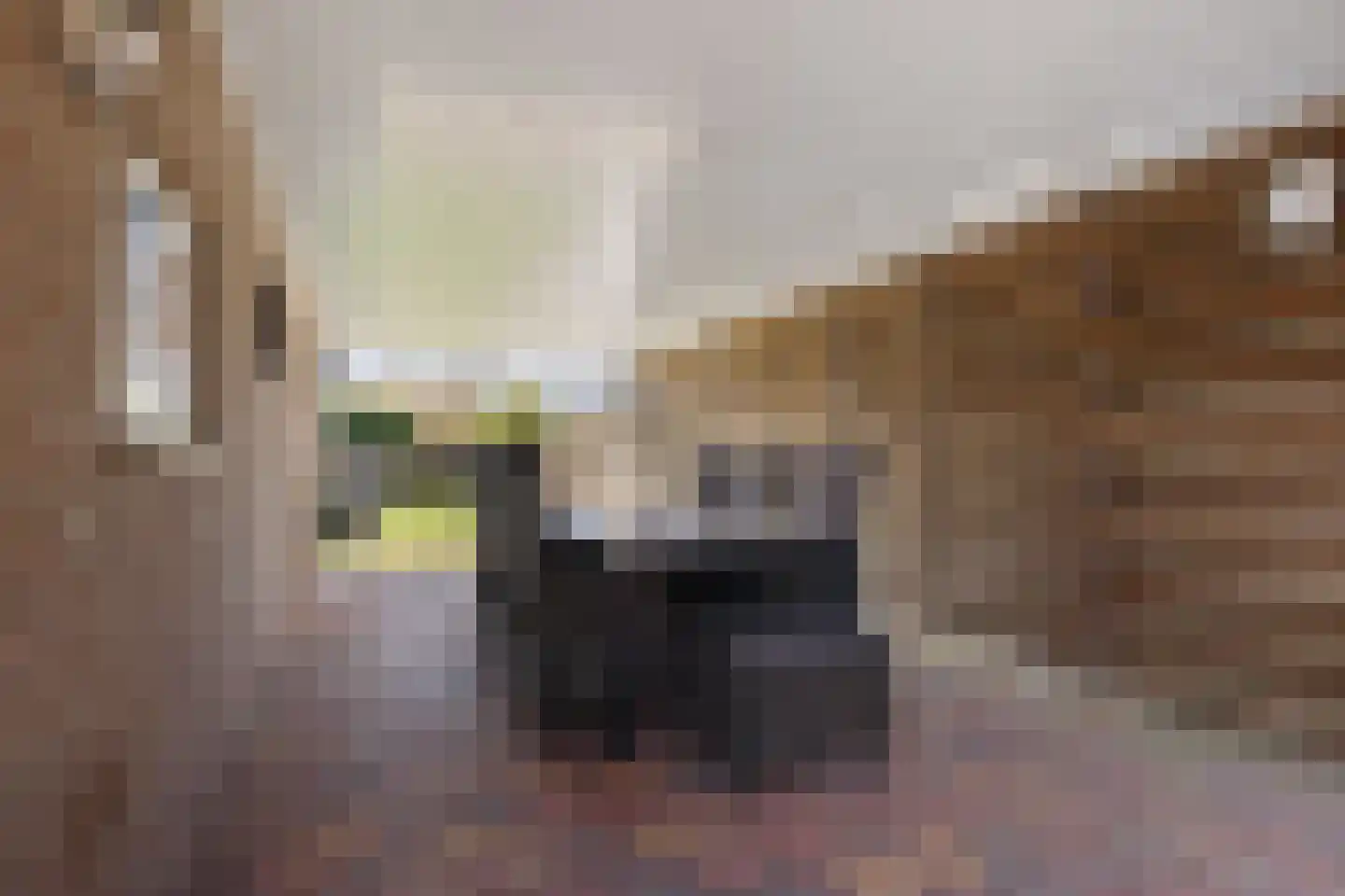 Zandberg 8 Ter Apelkanaal thumbnail 37