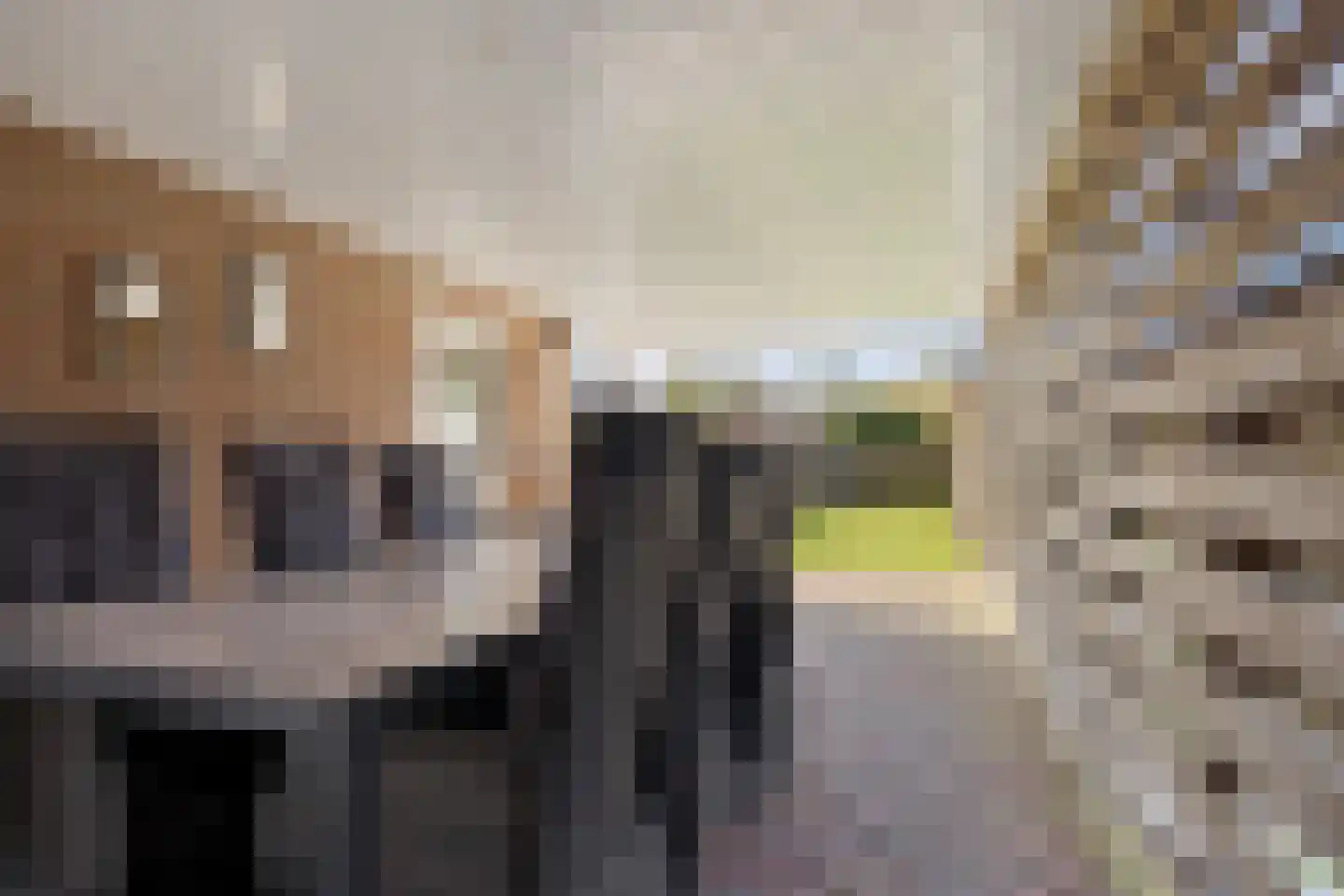 Zandberg 8 Ter Apelkanaal thumbnail 38