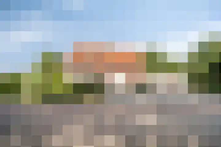 Zandberg 9 Maasbree