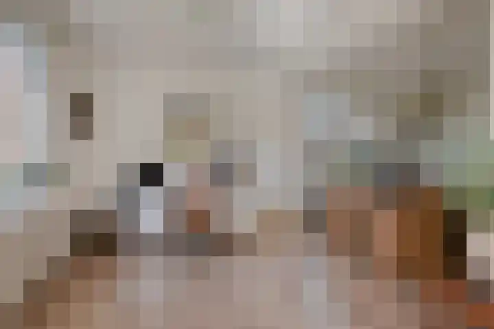 Zandberg 9 Maasbree thumbnail 16