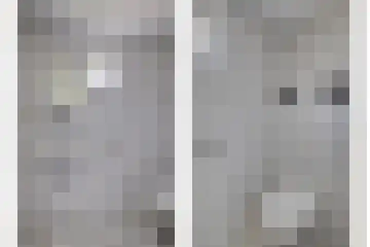 Zandberg 9 Maasbree thumbnail 22